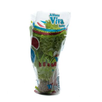 Alface Viva Baby Unidade