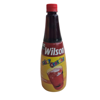 Xarope Wilson Groselha 900Ml