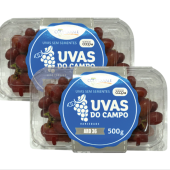 Uva Isis 500G
