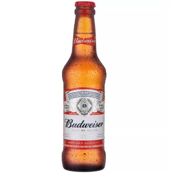 Cerveja Budweiser 330Ml