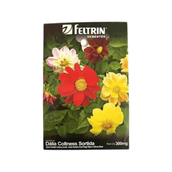 SEMENTE FELTRIN FLORES UN DALIA COLTNESS