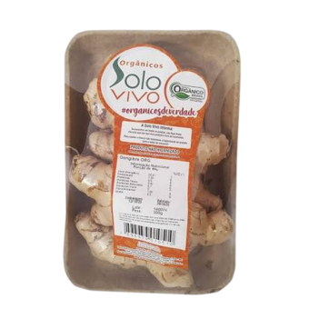 GENGIBRE SOLO VIVO ORG 300G