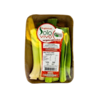 ALHO PORO SOLO VIVO ORG 250G