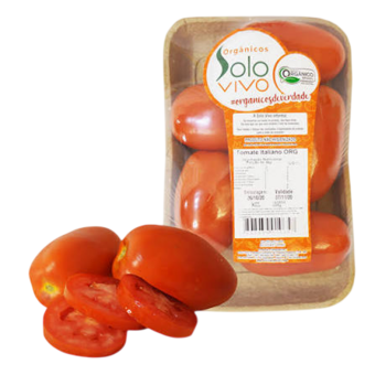 TOMATE ITALIANO SOLO VIVO ORG 500G