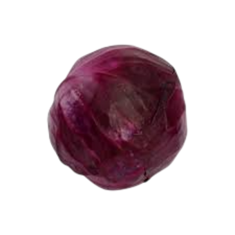 REPOLHO ROXO SOLO VIVO ORG 300G