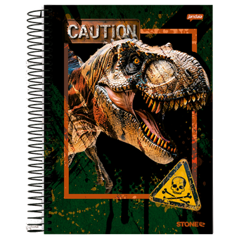CADERNO JANDAIA ESPIRAL CD 10M 160F STONE