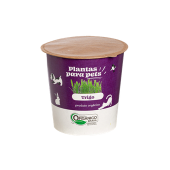 PLANTA PARA PETS TRIGO