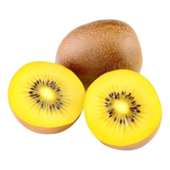 KIWI SUNGOLD KG