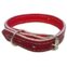 Coleira Forrada Vermelha Número 4 Embalagem 1 Un