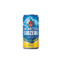 CERV ANTARCTICA LT 269ML SUBZERO