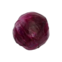 REPOLHO ROXO SOLO VIVO ORG 300G