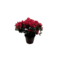 FLOR AZALEIA MINI P09