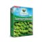 Fertilizante Para Samambaia Vitaplan Embalagem 150G