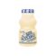 Leite Fermentado Chamyto 75G