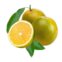 Laranja Kg